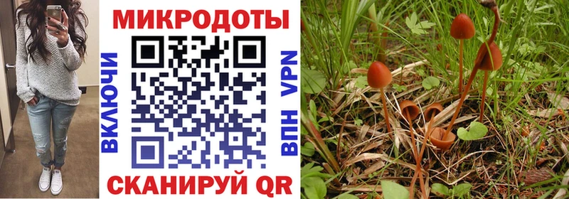 Галлюциногенные грибы Psilocybine cubensis  где можно купить   Ворсма 
